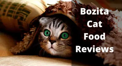 Bozita Cat Food Reviews | Bozita Cat Food UK | Feeding Guide | Bozita Cat Food for Kittens