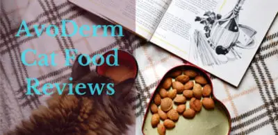 AvoDerm Cat Food Reviews | Best 5 AvoDerm Recipes For Cats
