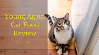 Young Again Cat Food Reviews | 6 Foods By Young Again Industry | MyBestCatFood