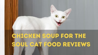 5 Chicken Soup For The Soul Cat Food Reviews And Key Benefits and Guiding Reviews