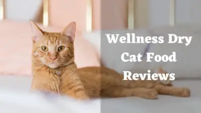 Wellness Dry Cat Food Reviews | 6 Best Cat Food By Wellness Core | My Best Cat Food