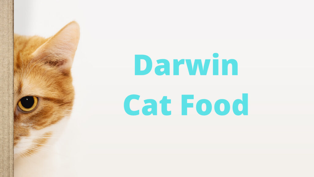 darwin's cat food