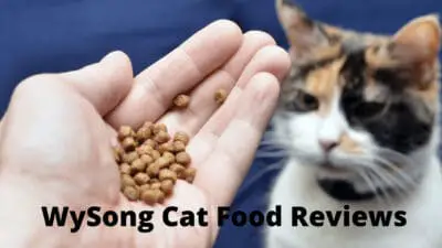 The Wysong Cat Food Reviews 2021 - MyBestCatFood