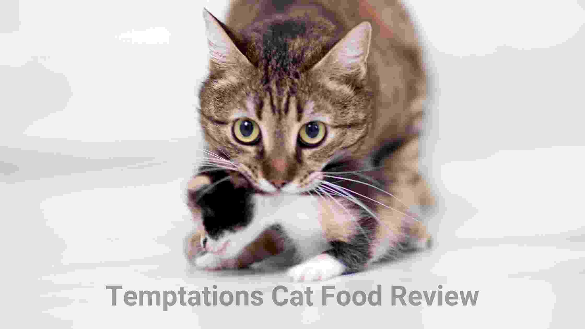Temptations Cat Food treats Review