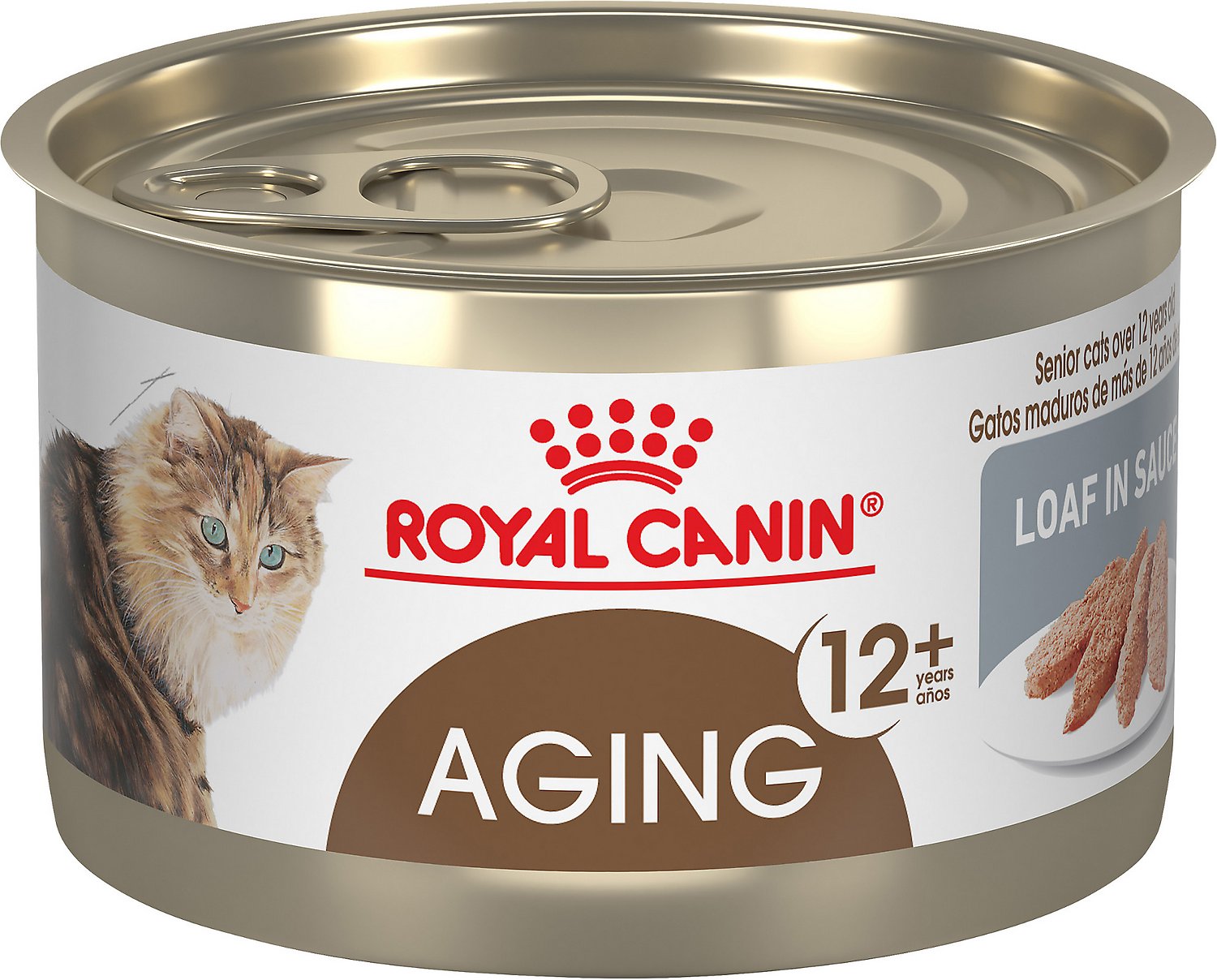 best-high-protein-wet-cat-food-is-your-cat-need