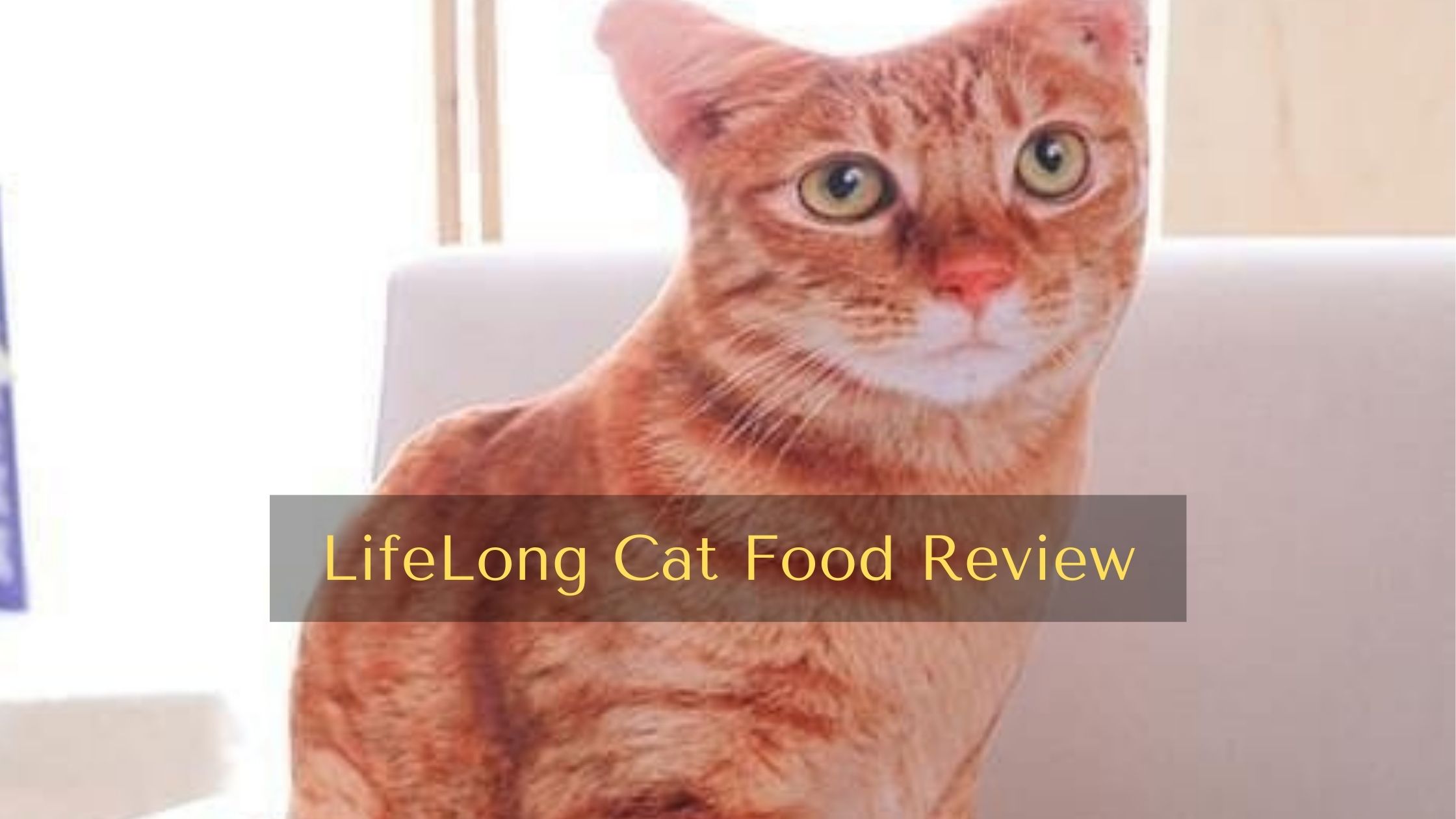 LifeLong Cat Food Review