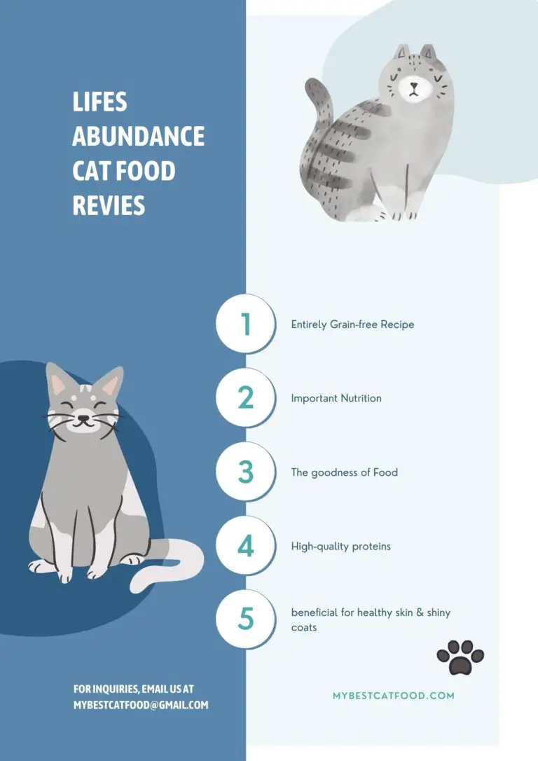 Lifes Abundance Cat Food Reviews 2021 - MyBestCatFood