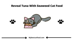 Reveal Tuna With Seaweed Cat Food