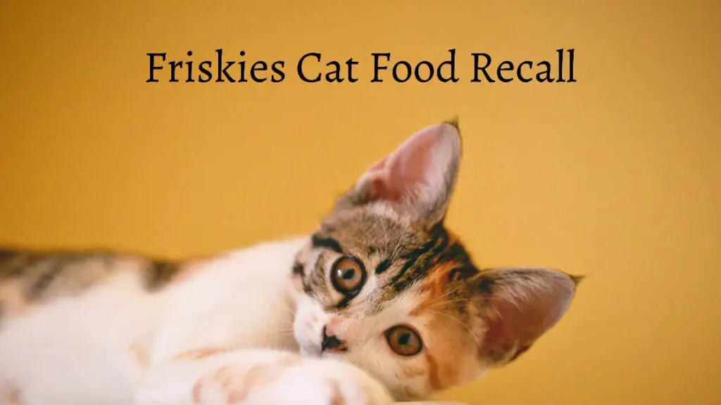 Friskies Cat Food Recall 20212022 Why is This Product Out of Stock?