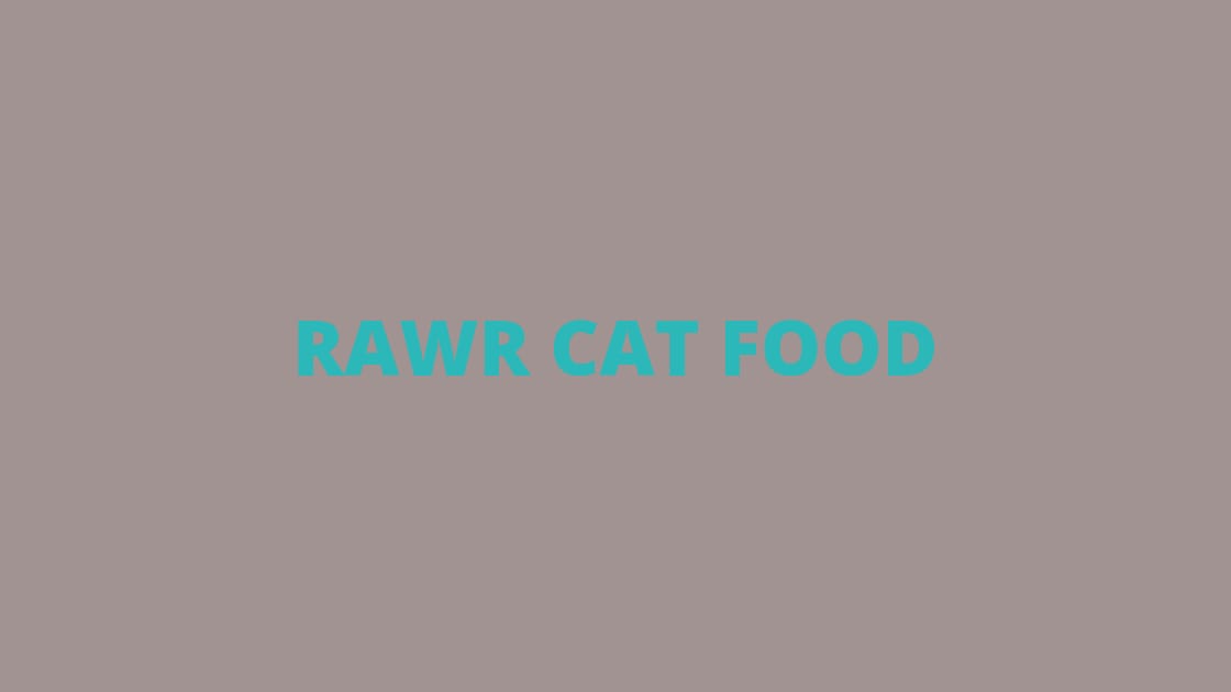 Rawr Cat Food - MyBestCatFood