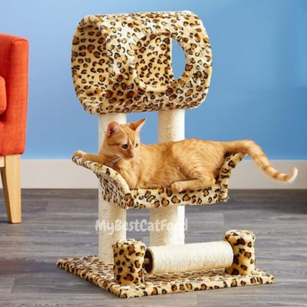 cat tree with litter box