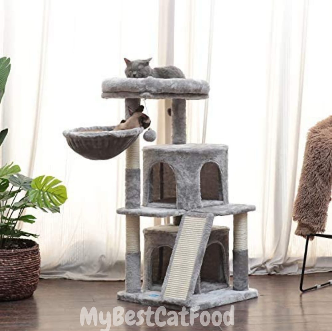 15 Best Cat Tree With Litter Box (2022) - Reviews & Top Picks