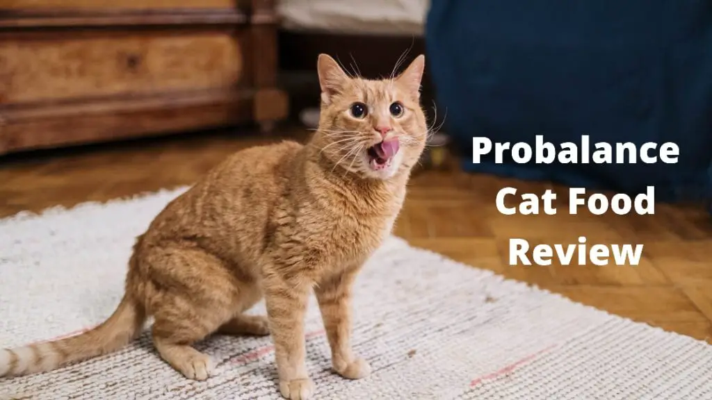 Probalance Cat Food Review (2021) - Recall & Ingredients