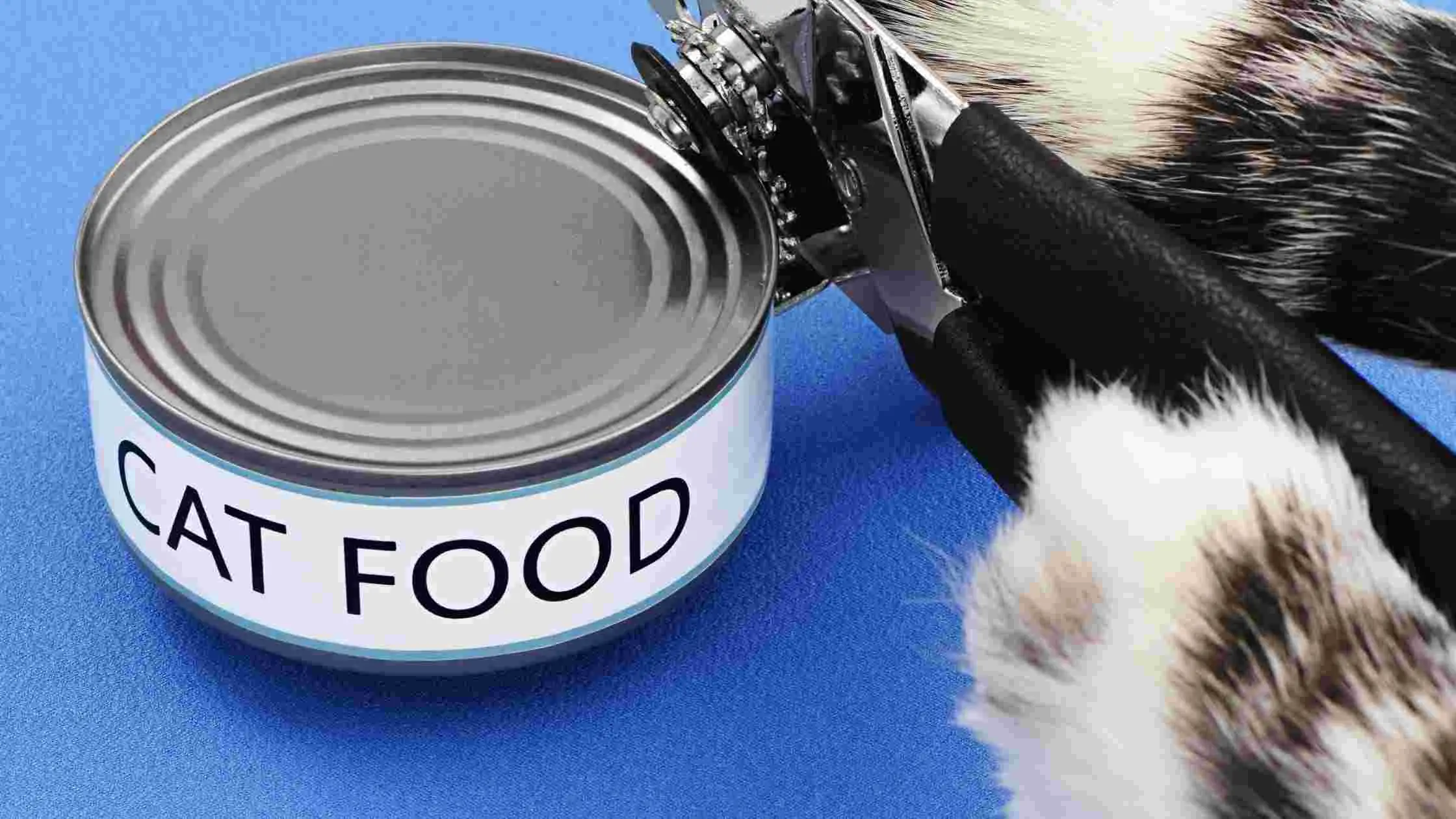 Are Cat Food Cans Recyclable