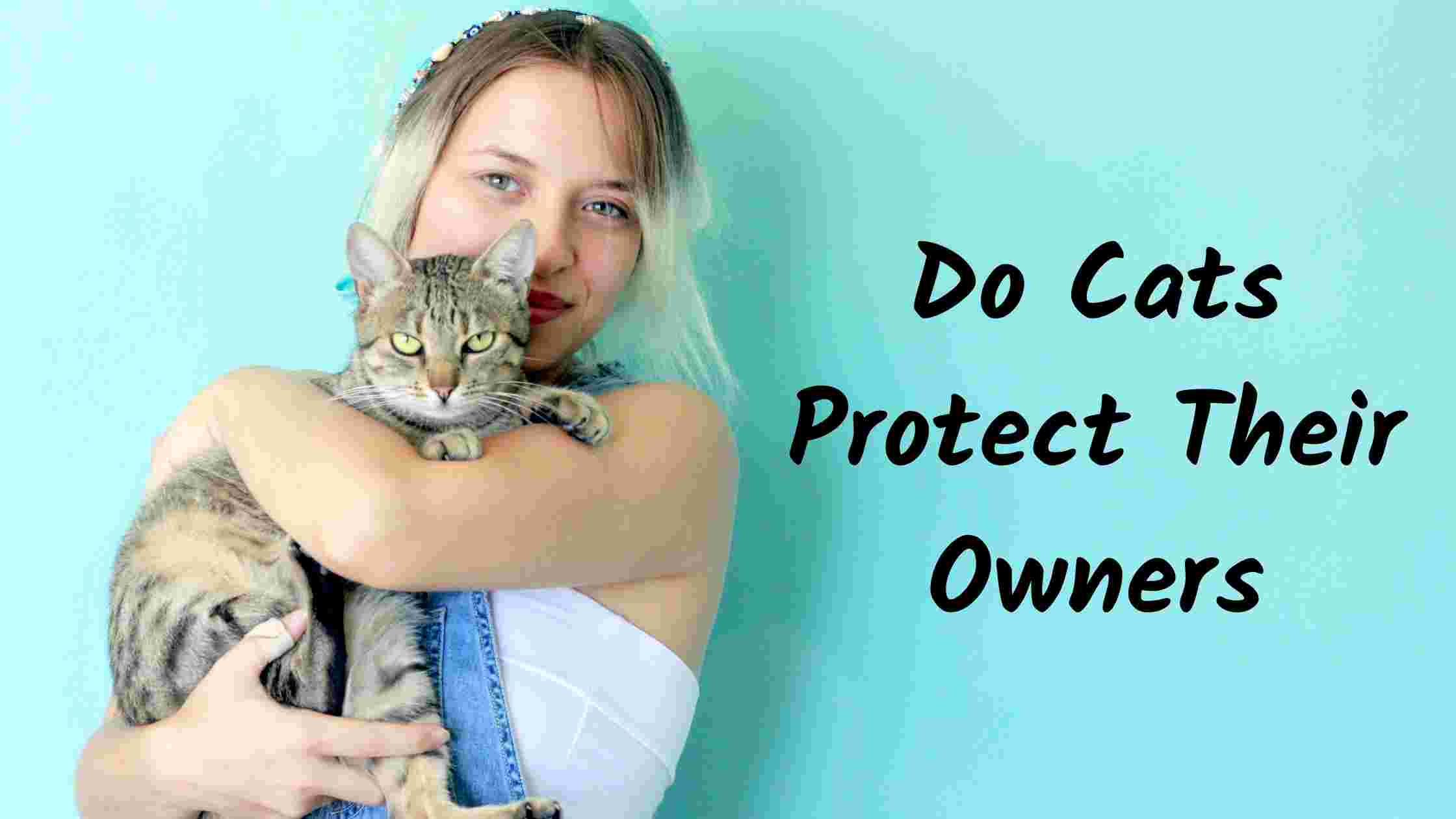 Do Cats Protect Their Owners