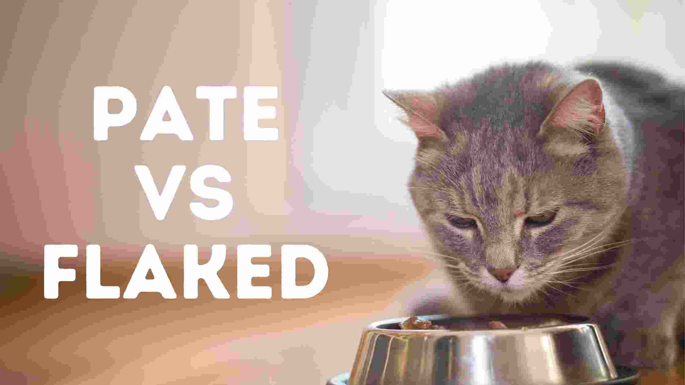 Pate vs Flaked cat food