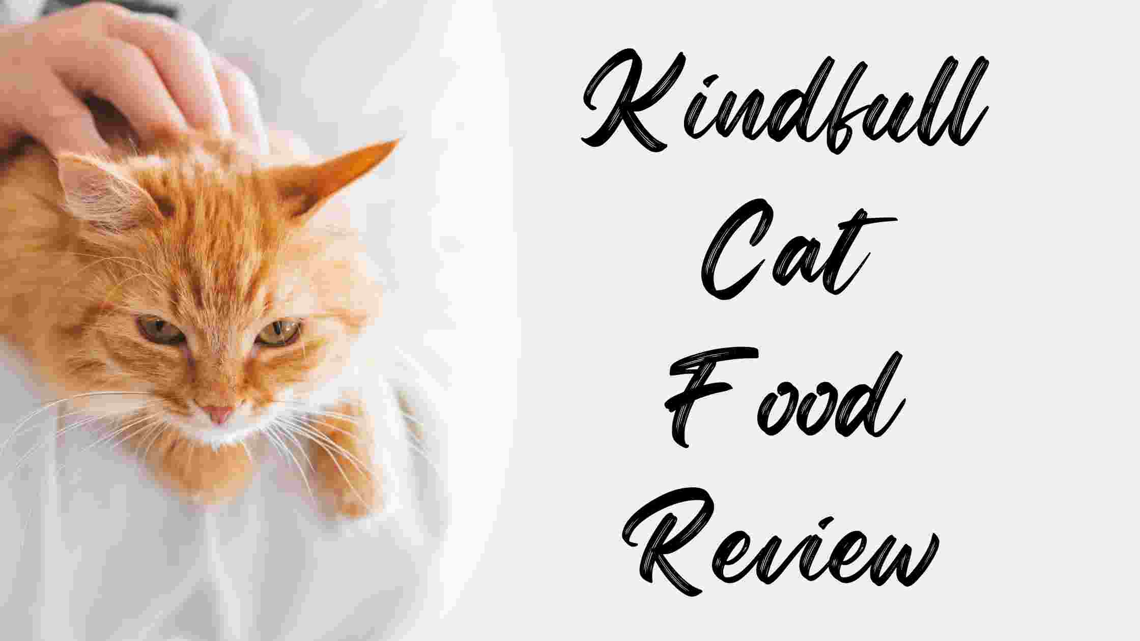 Kindfull Cat Food Review