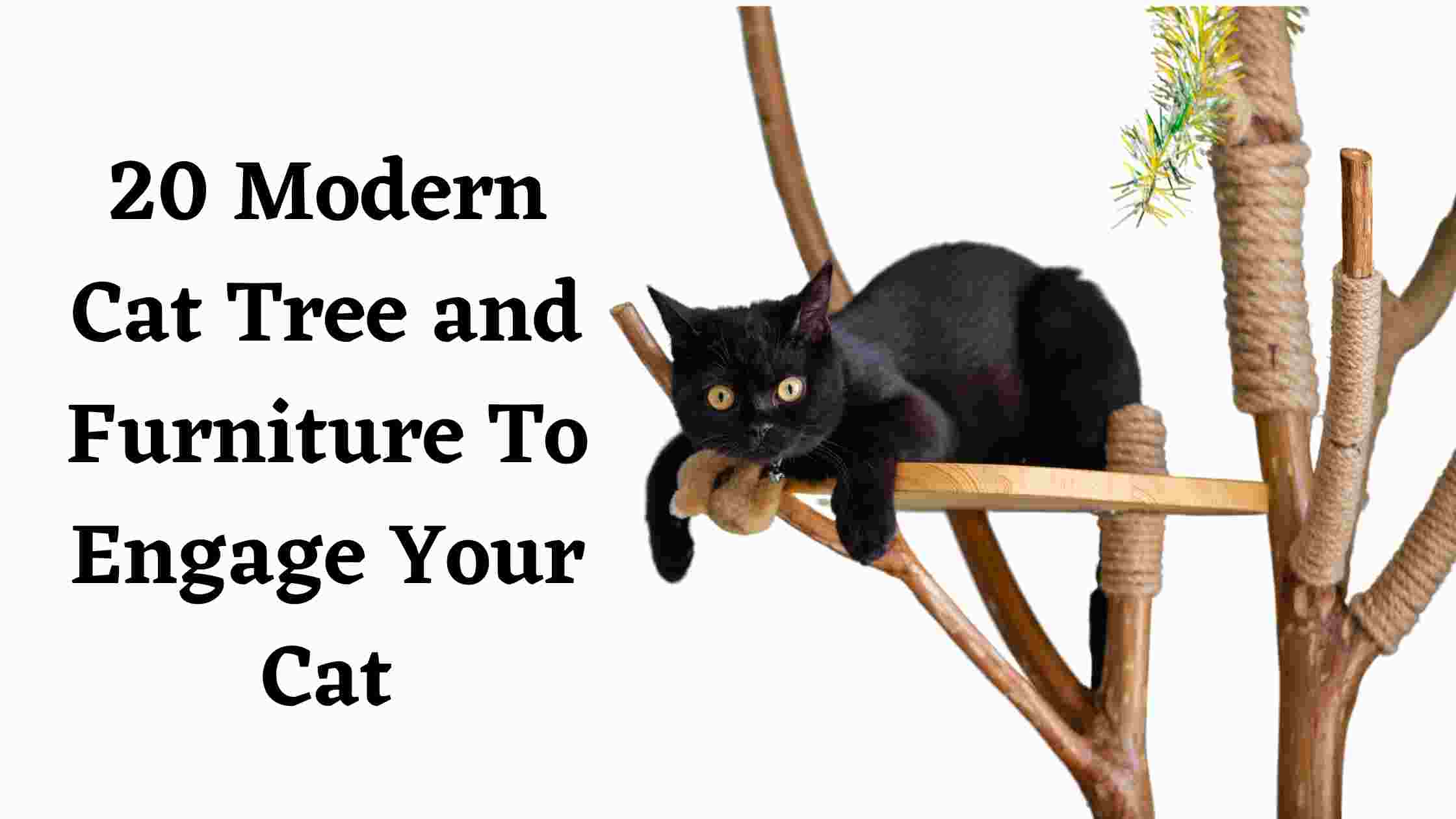 20 Modern Cat Tree and Furniture To Engage Your Cat