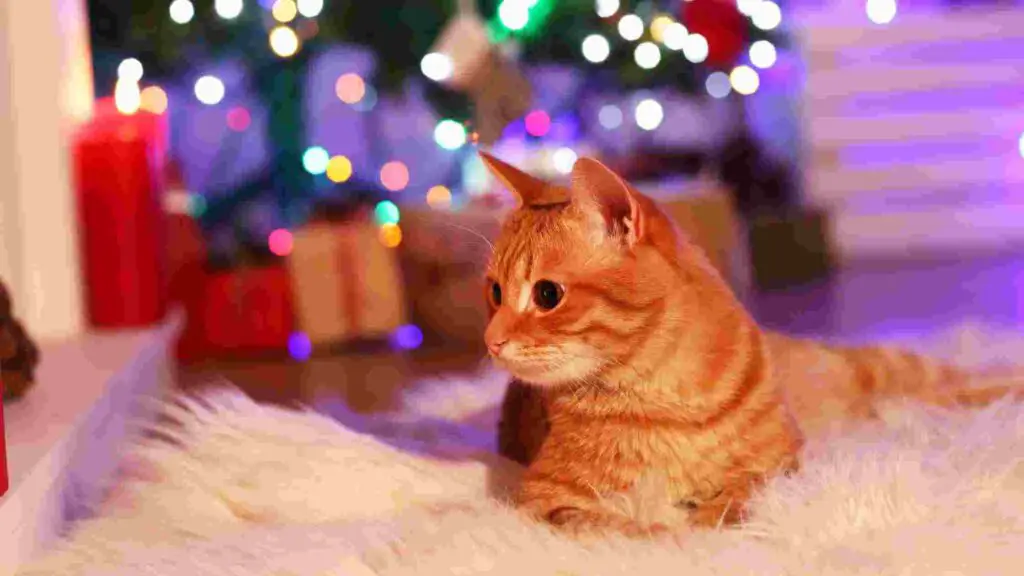 How to Keep Cats Away From Christmas Tree?
