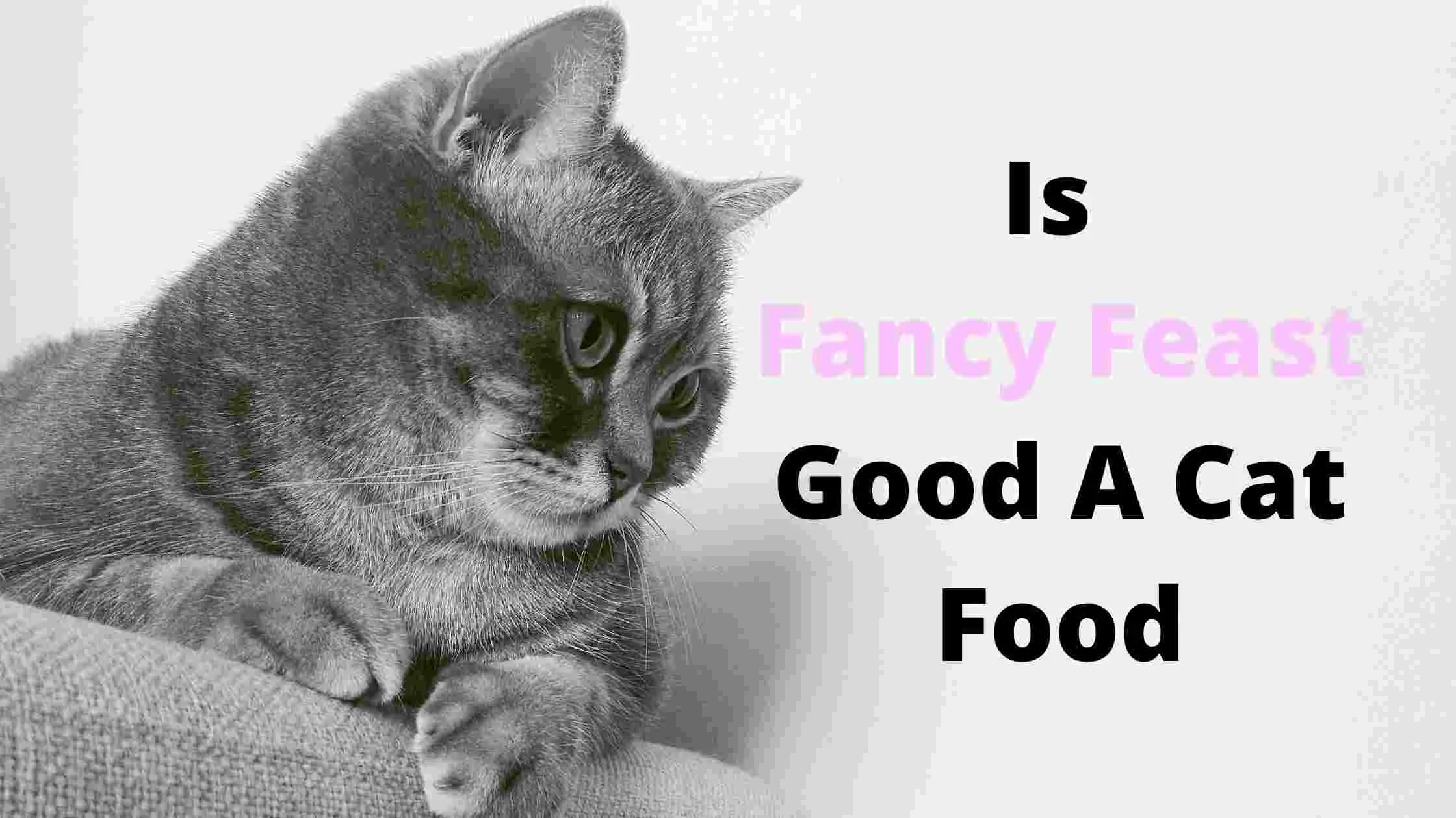 Is Fancy Feast Good A Cat Food