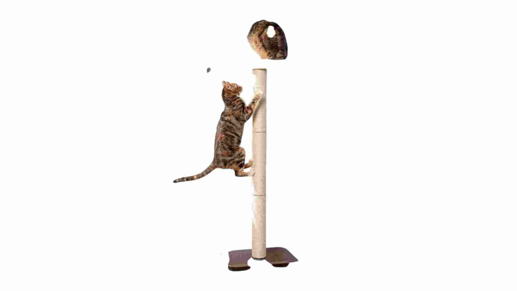 Pet Fusion Ultimate Cat Climbing Tower