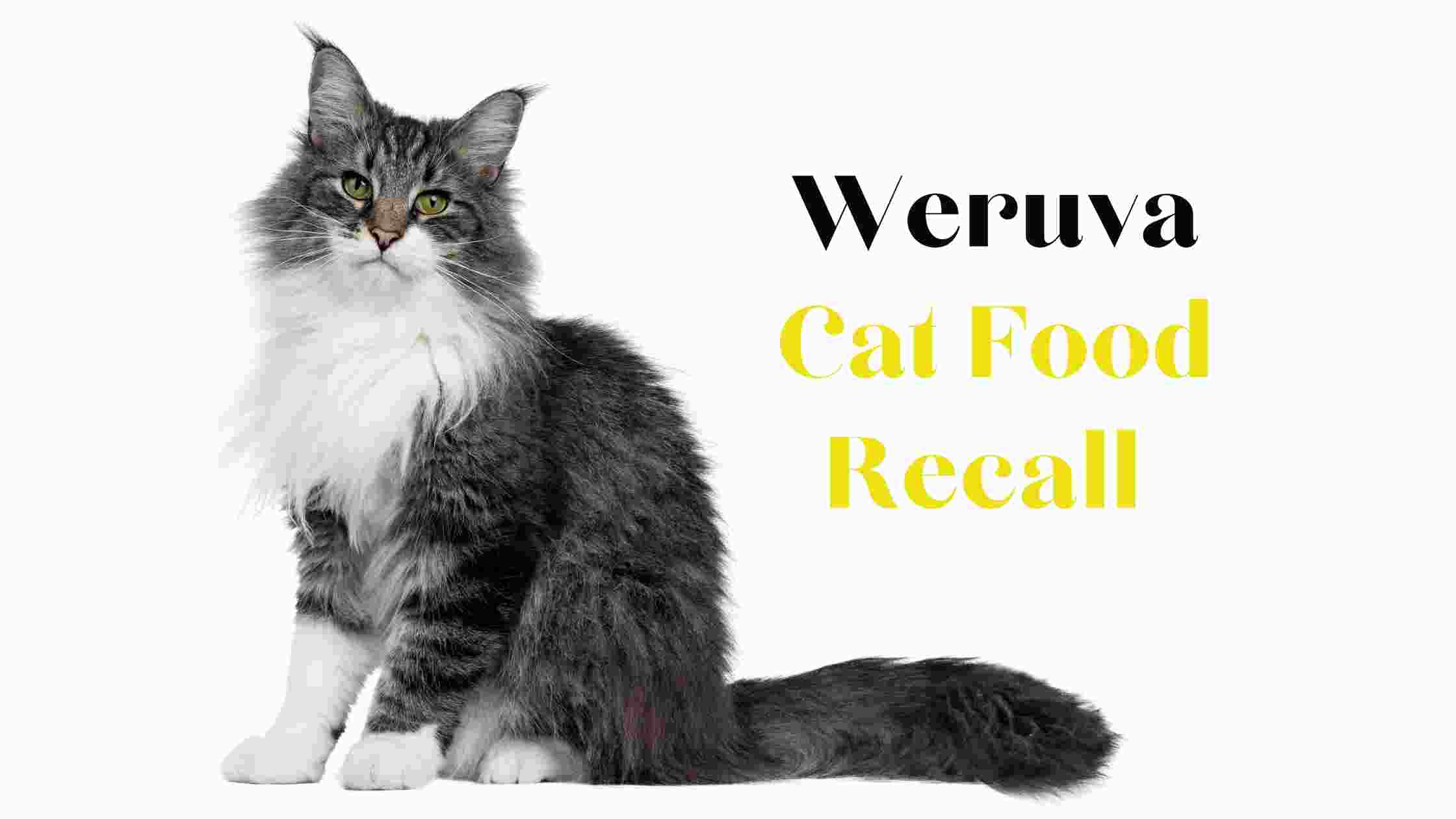 Weruva Cat Food Recall