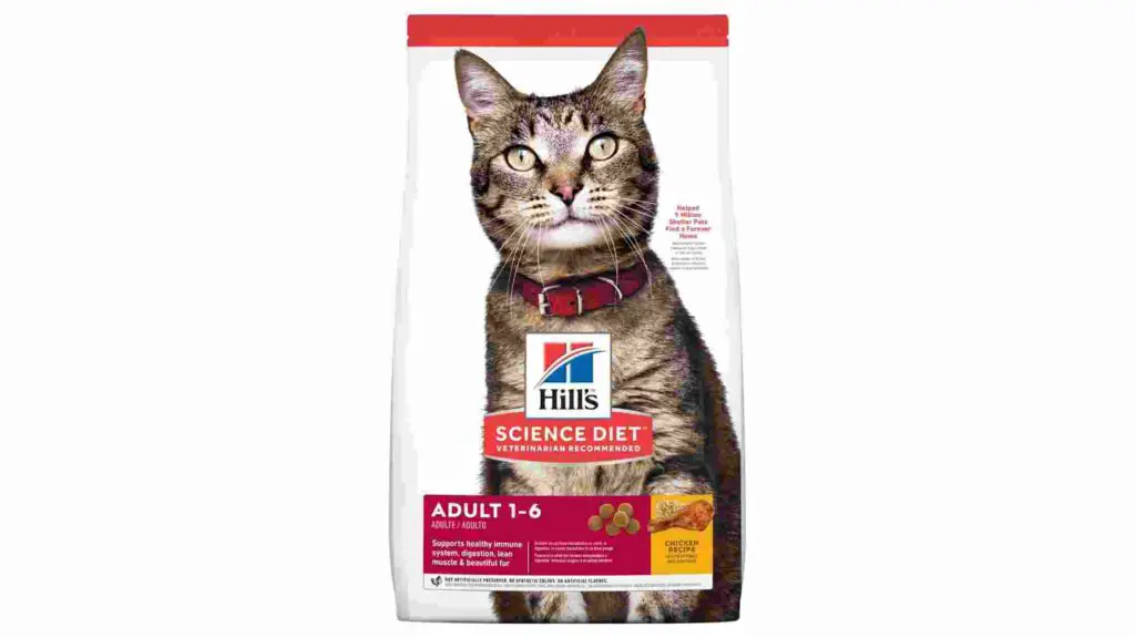 Hill's Science Diet Cat Food Shortage(2022) Why Out of Stock?