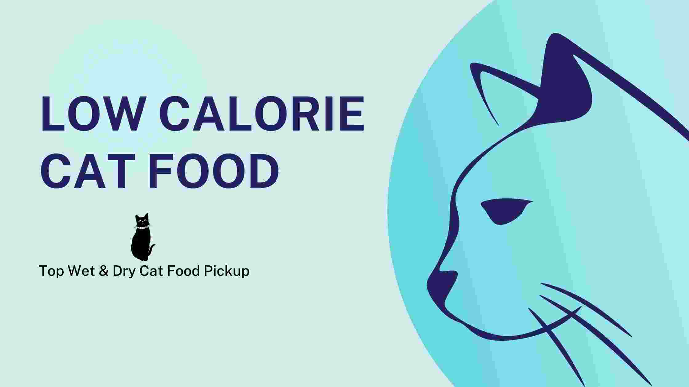 Low Calorie Cat Food
