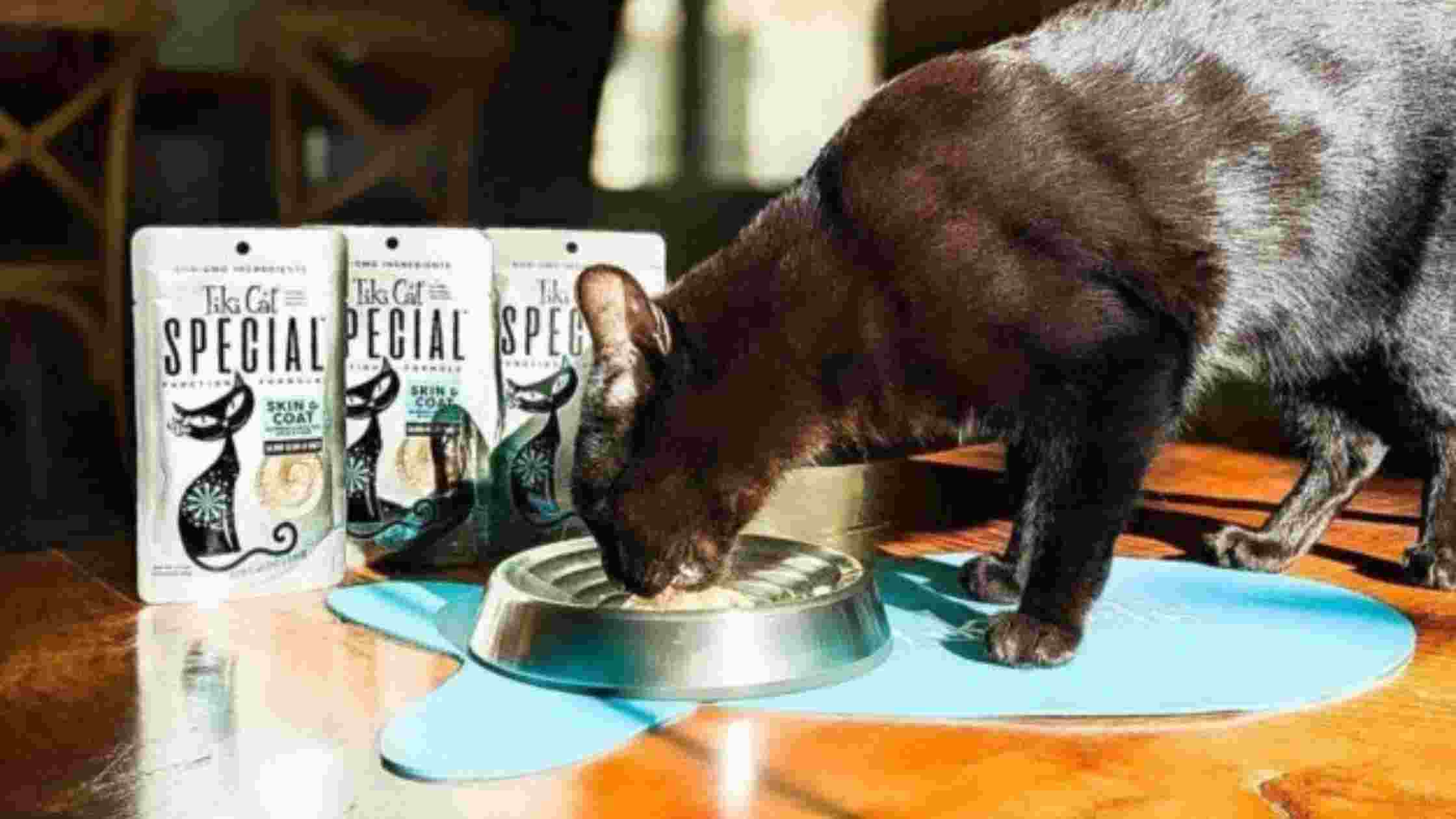 Tiki Cat Food Recall
