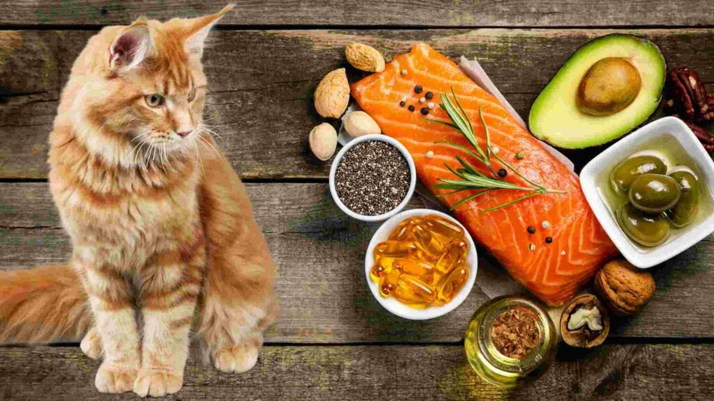 Cat Food With Omega 3