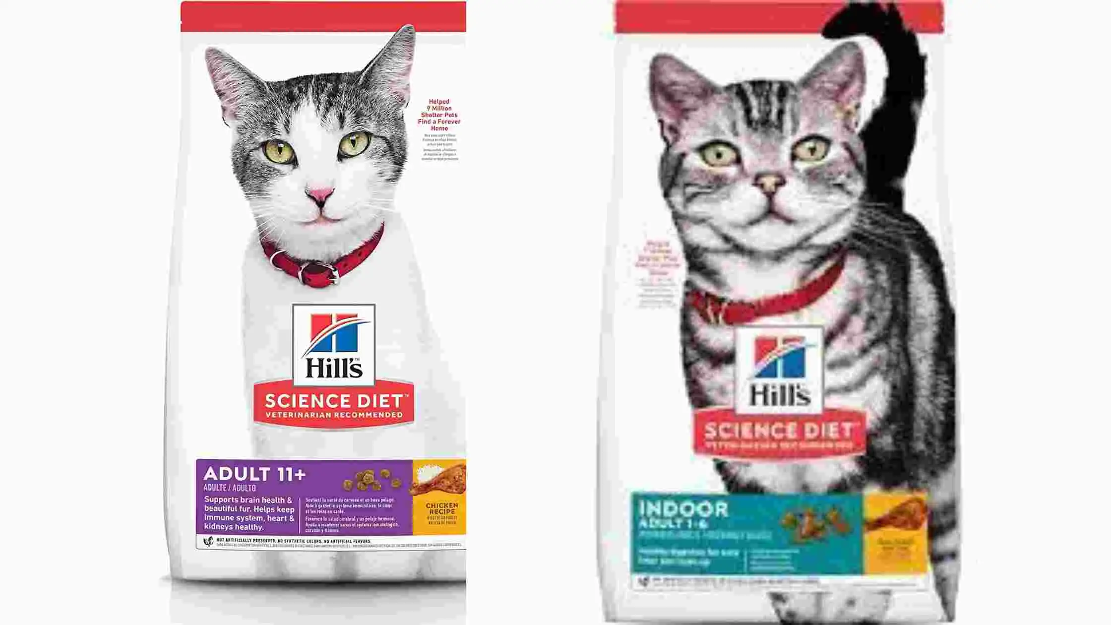 Is Hill's science diet good for cats