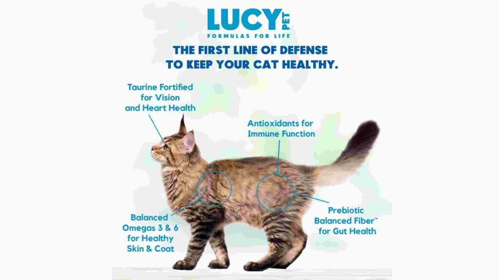 Lucy cat food product review