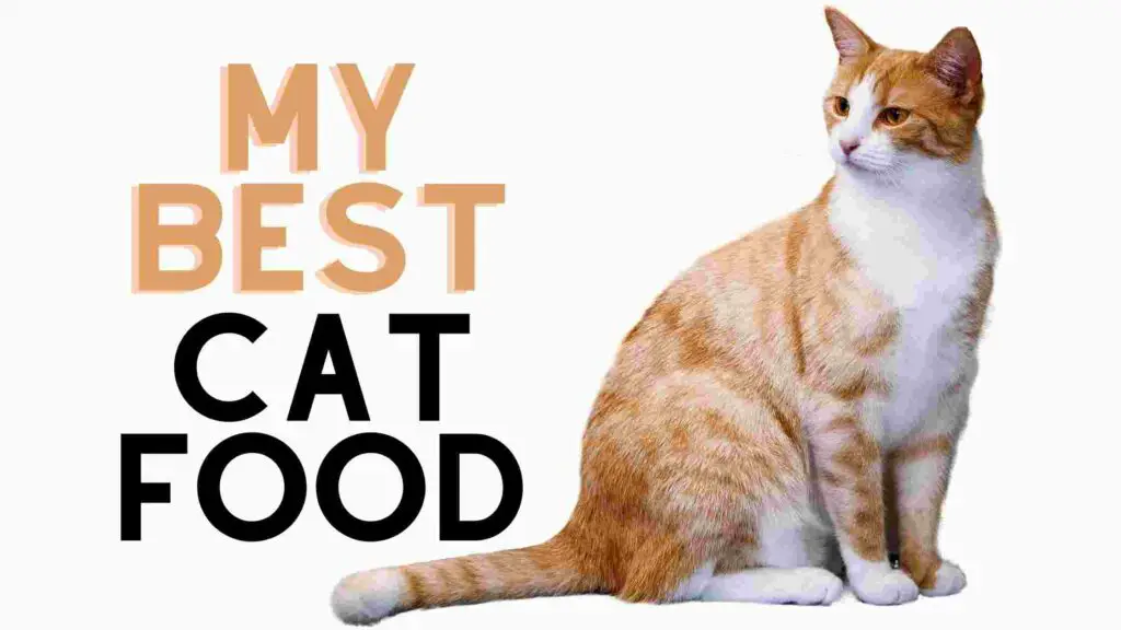 These 29 The Best Cat Food 2022 That Expert Recommended   My Best Cat Food 1024x576 