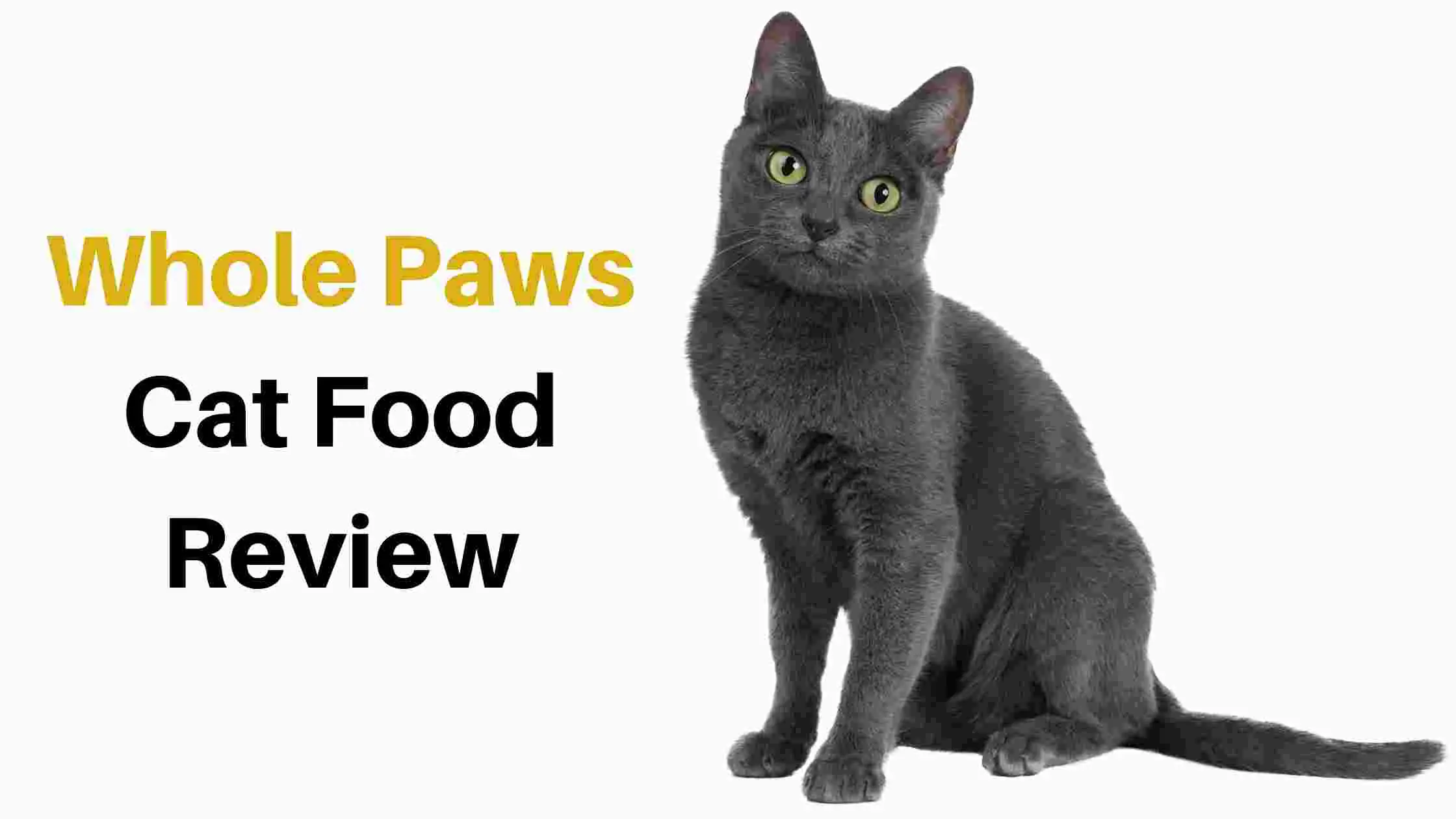 Whole Paws Cat Food Review