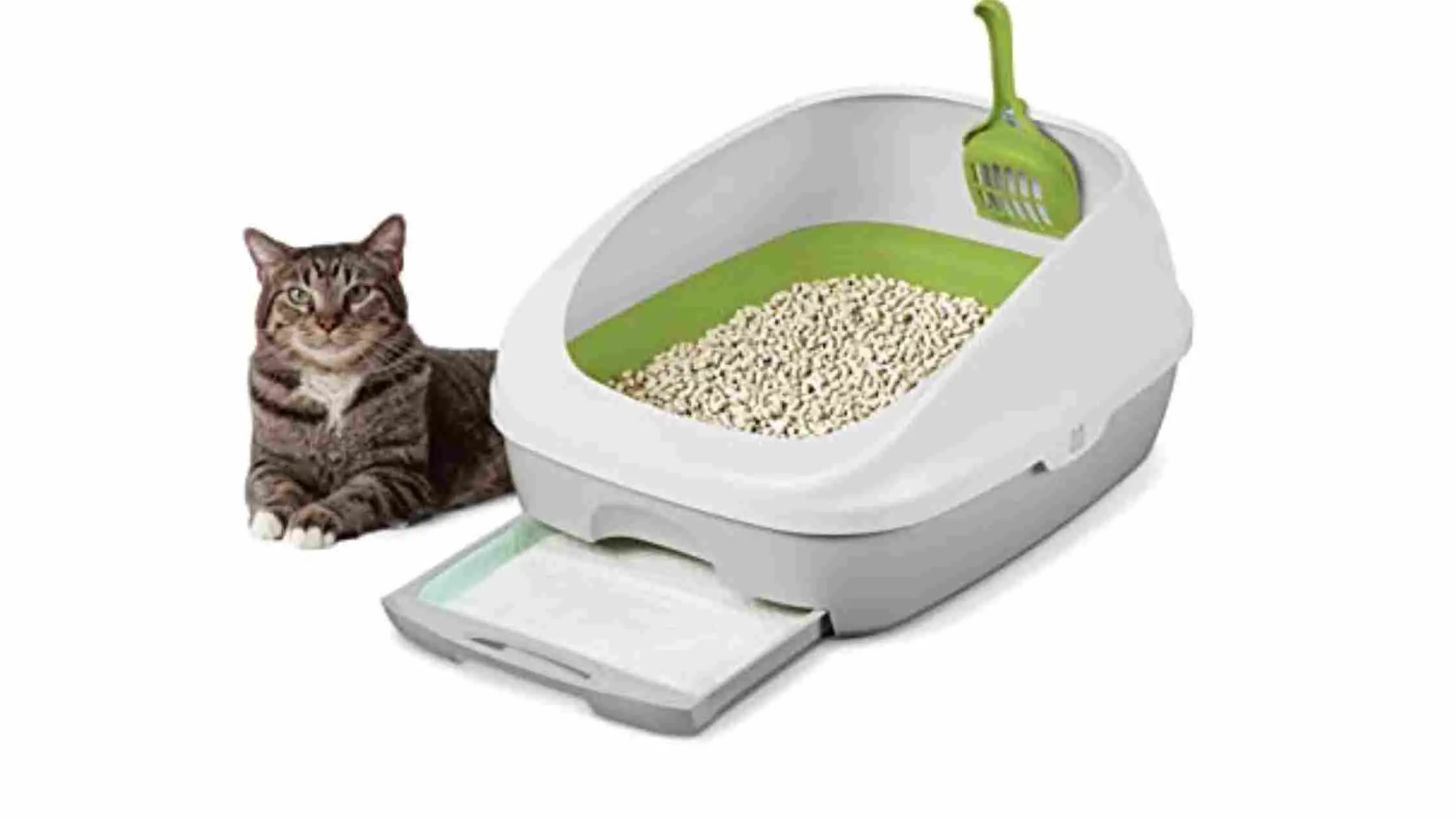 Breeze Cat Litter Systems Discontinued