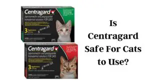 Is Centragard For Cats review to Use?